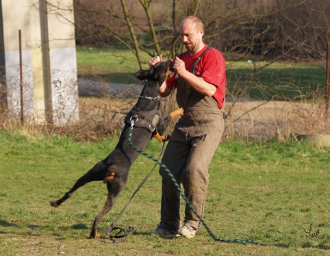 Training 26. 3. 2007